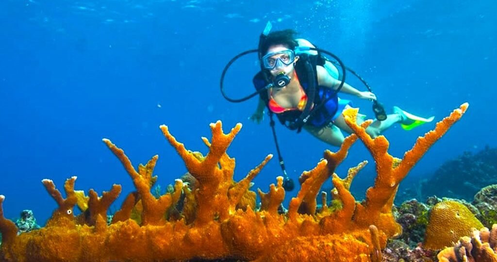 scuba diving hikkaduwa